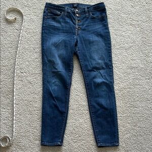 J. Crew Blue Skinny Jeans Classic Fit